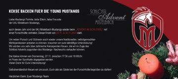 Adventmarkt_Ankündigung_a4_25_02_page-0001