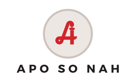 Apo So nah LOGO 2_page-0001