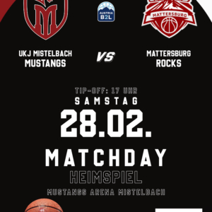 Matchankündigung_HEIMSPIELE_GESAMT11