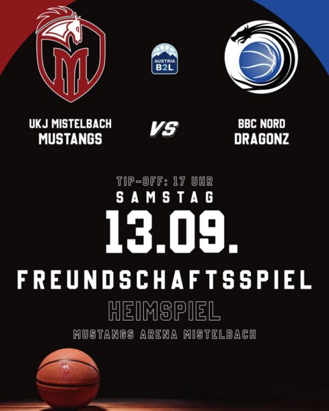 freundschaftsspiel_dragonz